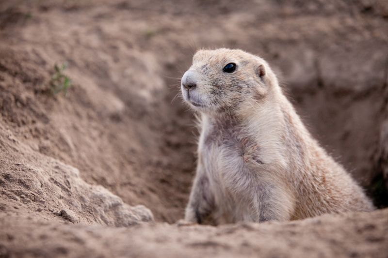 Property Damage Prevention